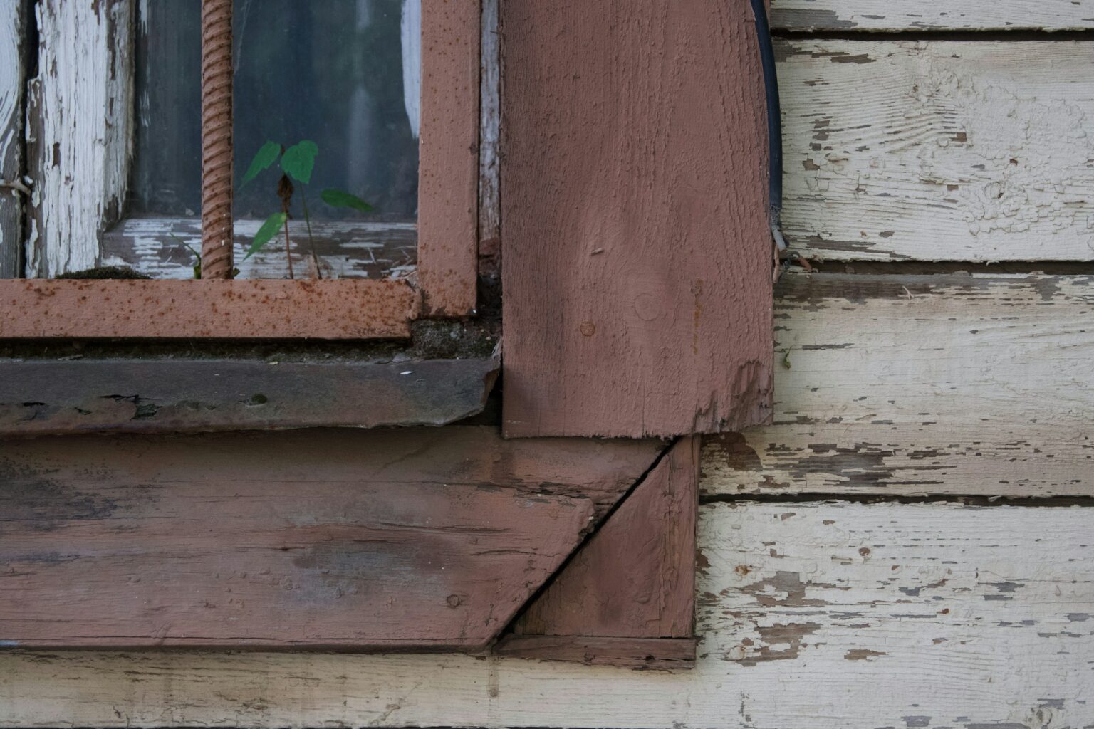 olga zakharchenko w4eiPgy5CP8 unsplash